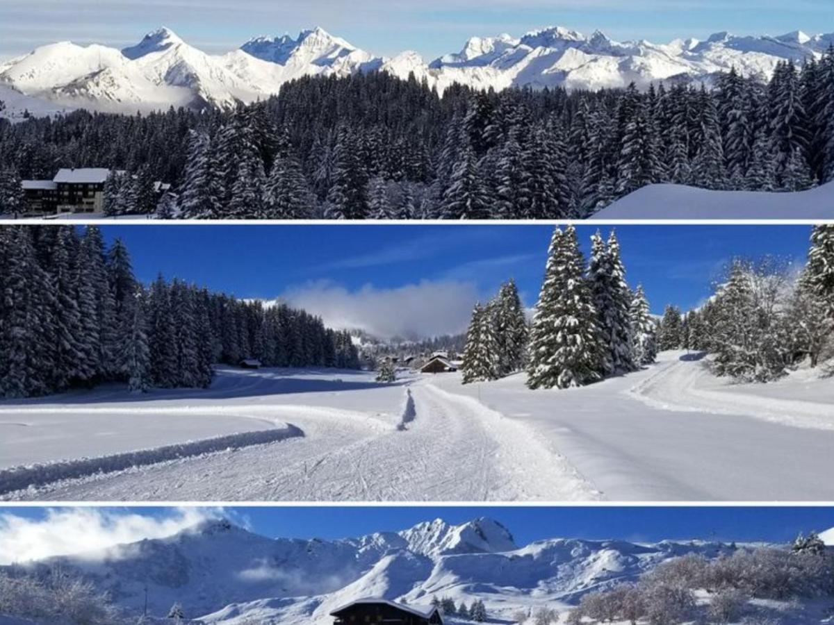 Studio Cabine Praz De Lys Taninges Exterior photo